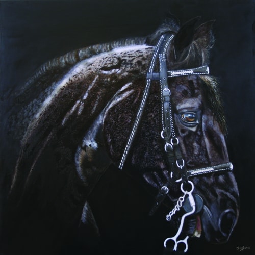 "Shadows" Oil on Canvas, 36" x 36" by Artist Jacqueline England