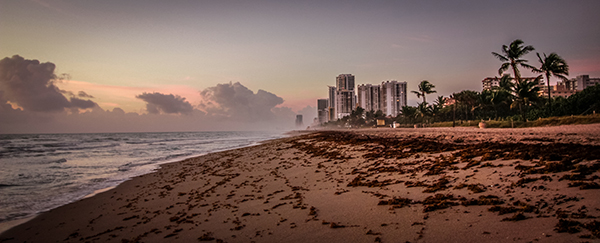 "Beach Morning" Photography, 17" x 7" by Artist Mayra Pau