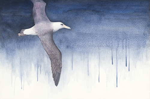 "Wisdom - Air" Watercolor on Mounted Paper, 30" x 20" by Artist Kelly Leahy Radding