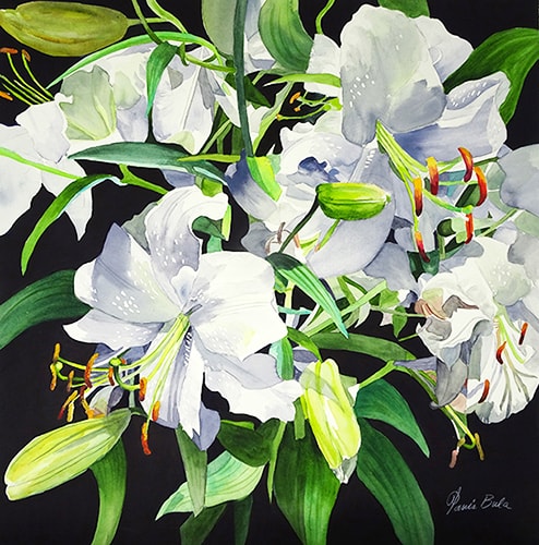 "Mixed Lilies" Watercolor, 21" x 21" by Artist Tanis Bula