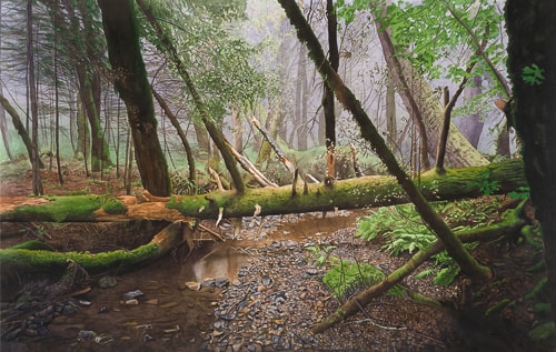 Watercolor painting of a river in a woods by Jonathan Keeton