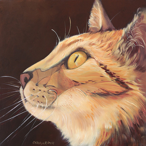 Close-up painting of a cat's face by Carolyn Ritter