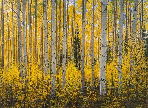 Acrylic painting of Aspen trees in the fall by Jonathan Keeton