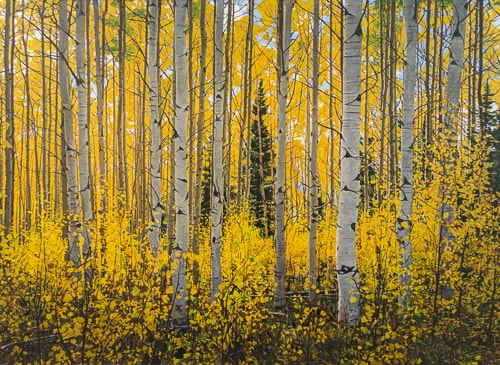 "Fall Aspens" Acrylic on Board, 24" x 18"