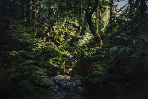 Acrylic painting of a wooded ravine by Jonathan Keeton