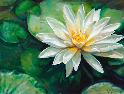 Oil Painting of a Waterlily and Lilypads by Artist Joyce Lee