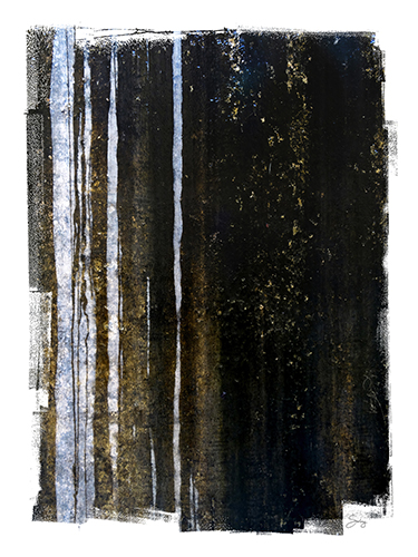 “Rain Forest” (San Miguel de Allende, Mexico) Photograph of a textured wall with vertical blue and dark brown streaks by Denise Solay