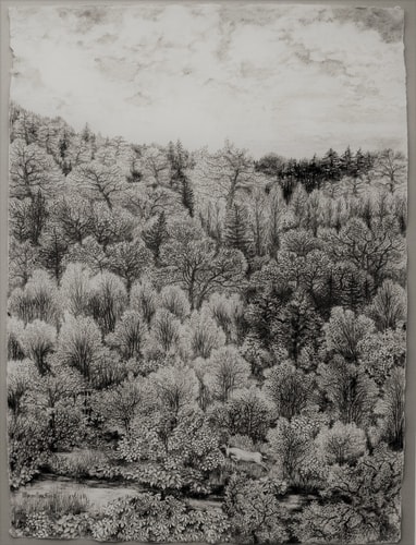 Graphite drawing of a wilderness landscape