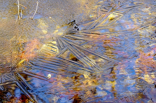 Photo of ice over water filled with leaves by Tom Kostes