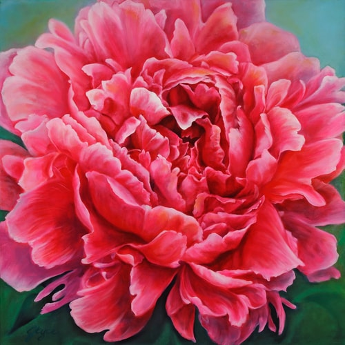Pink Peony oil painting by artist Joyce Lee