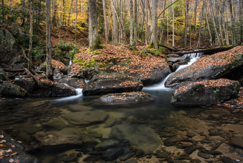 Photograph of waterfalls in the Laurel Fork of the Holly River in Holly River State Park in West Virginia by Andy Crawford