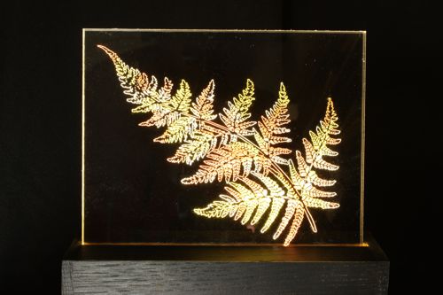 LED lamp of a fern etched in lucite by Jean-Luc Godard