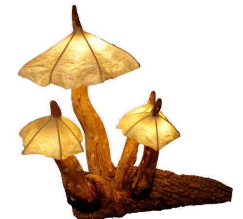 LED lamp of four mushrooms with maple base by Jean-Luc Godard