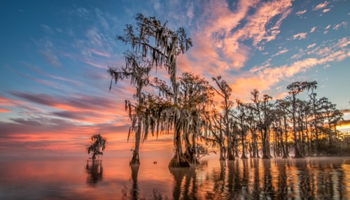 Photograph of Louisiana's Lake Maurepas at sunset by Andy Crawford