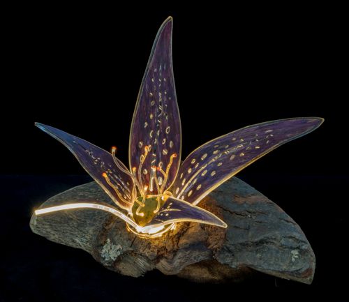 LED lamp of a flower made from etched lucite and oak by Jean-Luc Godard
