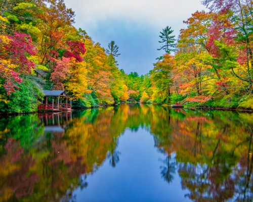 Photography of autumn foliage reflected in water taken in the Smoky Moutains by Andy Crawford