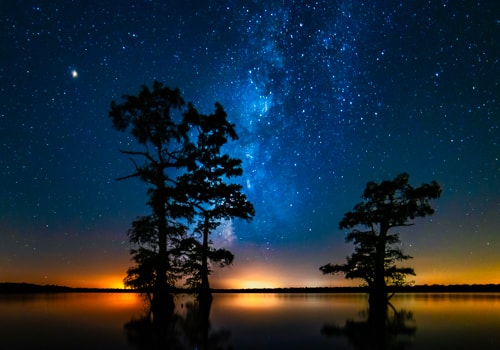Photography of two trees in the swamp under a starry sky by Andy Crawford