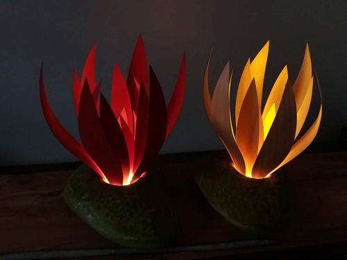LED lamps of two lotus flowers made of maple by Jean-Luc Godard