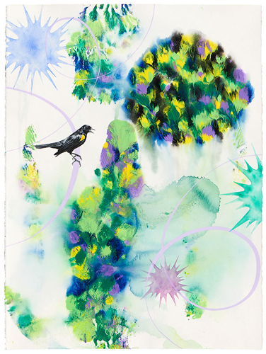 Abstract painting with a Yellow Shouldered Blackbird by Kara Maria