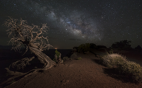 Photograph of the Milky Way over Dead Horse State Park in Utah by Cheryl Harris