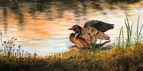 Painting of a duck in a pond by Linda Steele