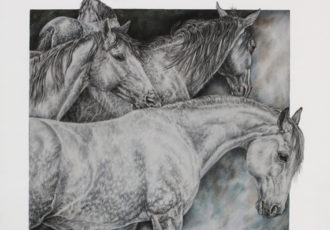 Colored pencil drawing of three dapple and grey horses by Jeanne Cardana