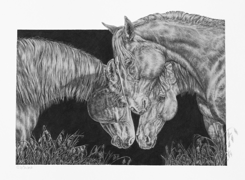 Graphite pencil drawing of three horses with their heads together by Jeanne Cardana