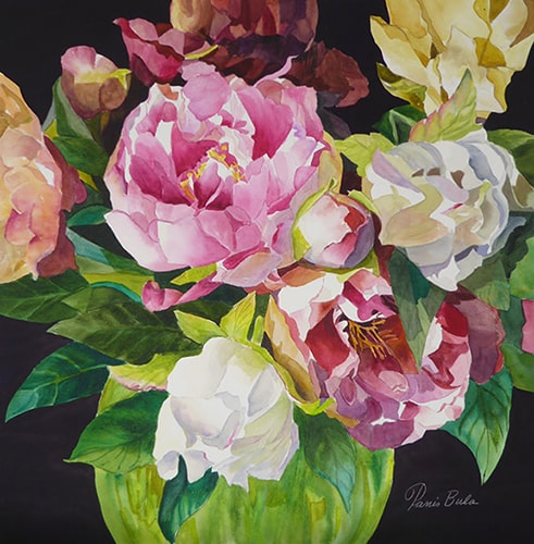 Watercolor painting of pink, white and yellow peonies by Tanis Bula