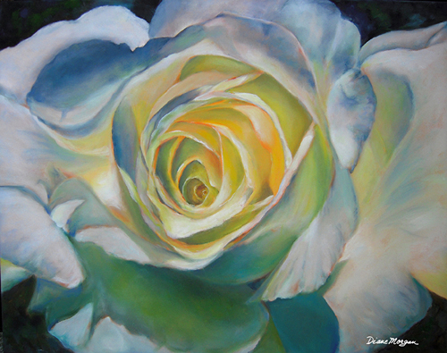 close up painting of a white rose by Diane Morgan
