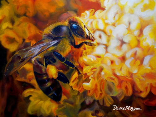 close up of a honeybee gathering pollen by Diane Morgan