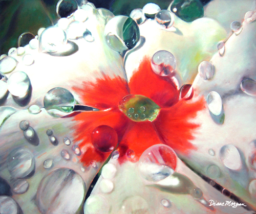 Painting of a close up view of a white Vinca with dew on it by Diane Morgan
