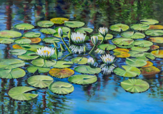 Oil painting of waterlilies by Leanne Hanson