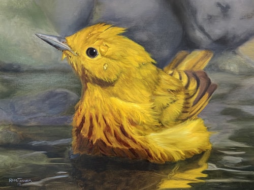 Oil portrait of a yellow bird taking a bath by Rose Tanner