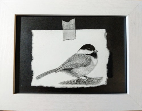 Trompe L'oeil charcoal and graphite drawing of a chickadee by Tammy Liu-Haller