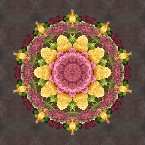Photographic kaleidoscopic image of cauliflower by Christina Peters