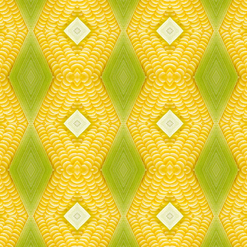 Abstract kaleidoscopic photograph of corn by Christina Peters