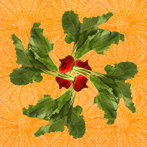 Abstract Kaleidoscopic photograph of red beets by Christina Peters