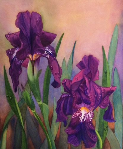 Watercolor painting of purple irises by Sara Jane Parsons