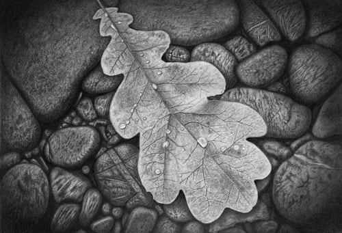 Charcoal and graphite drawing of the close up of a rocky shore by Tammy Liu-Haller