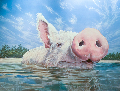 Painting of a pig swimming by Lance Rodgers