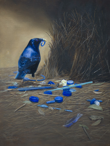 Oil portrait of a blue bird gathering items for its nest by Rose Tanner