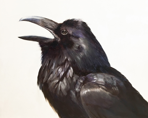 Oil portrait of a crow by Rose Tanner