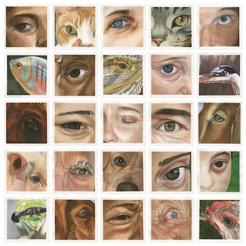 Watercolor painting collage of eyes by Sara Jane Parsons