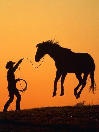 Photograph of a copy roping a horse by Christopher Marona