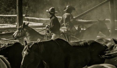 Photograph of cowboys sorting horses in a corral by Christopher Marona