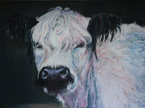 Pastel drawing of a white cow by Beth Lowell