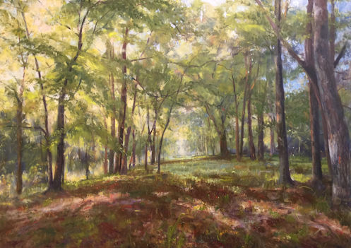 Oil landscape painting of a forest by Dot Courson