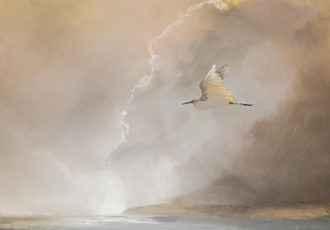 Pastel of a bird over the ocean by John Held