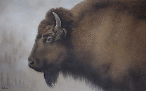 Oil painting of an American Bison by Lisa Botto Lee
