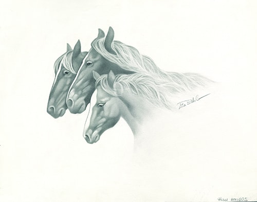 Graphite drawing of three horses by Lisa Botto Lee